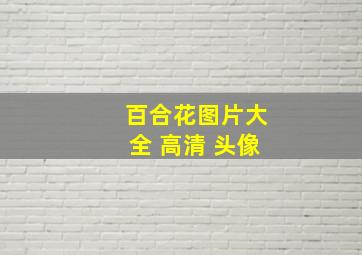 百合花图片大全 高清 头像